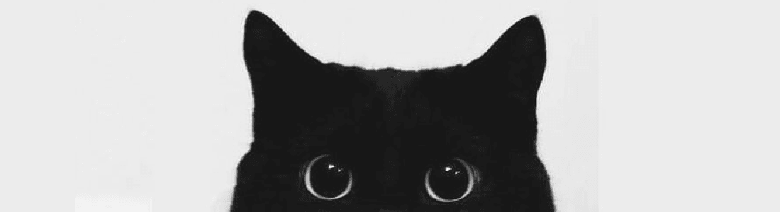 Banner for Thecatcorner